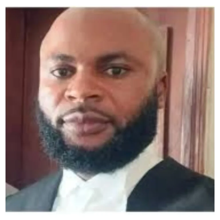 Idam Claims Discriminatory Treatment of Nnamdi Kanu and Biafra Advocates