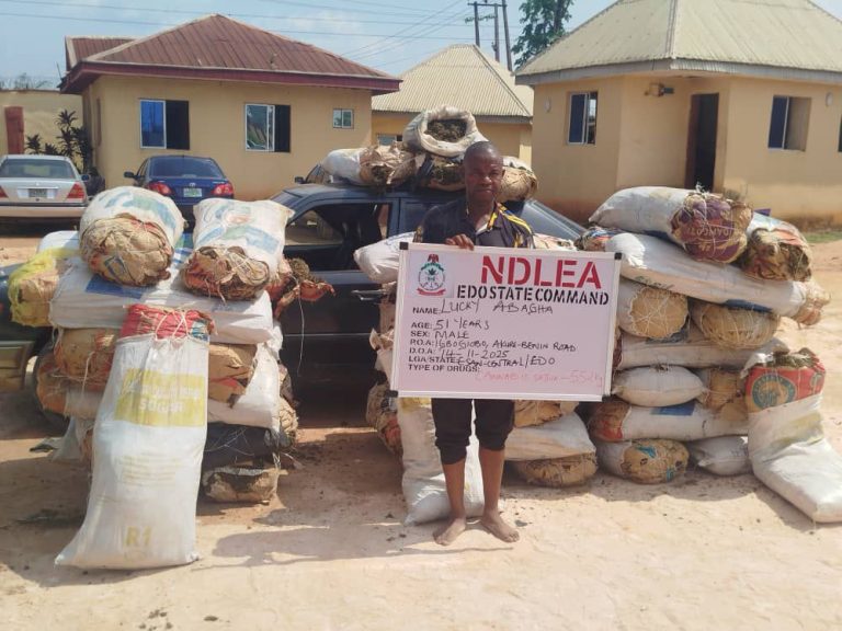 NDLEA Nab Lagos Drug Kingpin ‘Chisco Bee’, Uncovers Massive Warehouse, Seizes 18,000kg of Narcotics