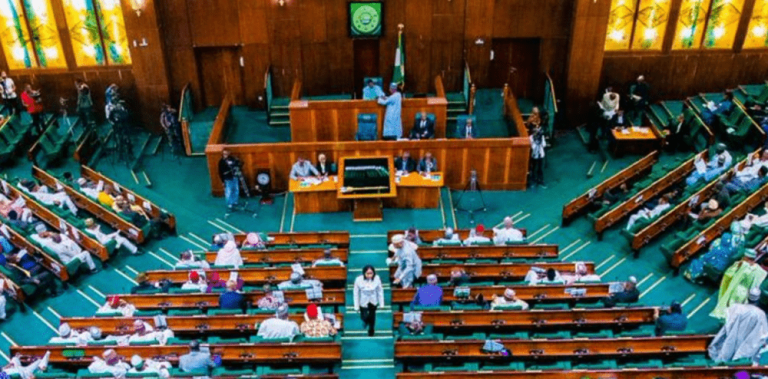Rowdy Session Erupts in House of Reps Over Federal Land Allocation Probe