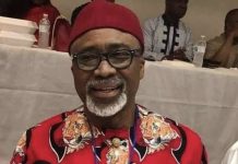 Abaribe: ‘Fish Out Whoever Gave The Order To Withdraw Troops In Kebbi’