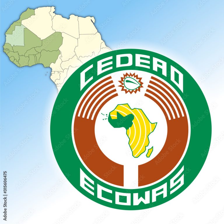 Rising Instability Prompts ECOWAS to Declare State of Emergency