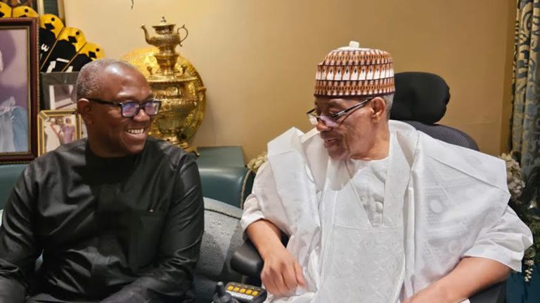 Peter Obi Courts Northern Support Ahead of 2027, Meets Ango Abdullahi, Babangida