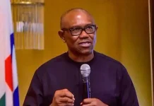 Peter Obi Criticizes Ambassadorial Appointments as Shocking