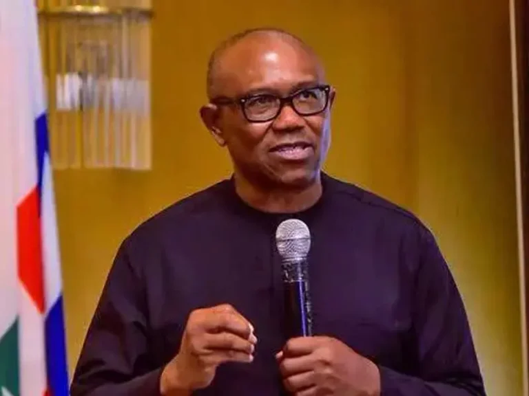 Peter Obi Criticizes Ambassadorial Appointments as Shocking
