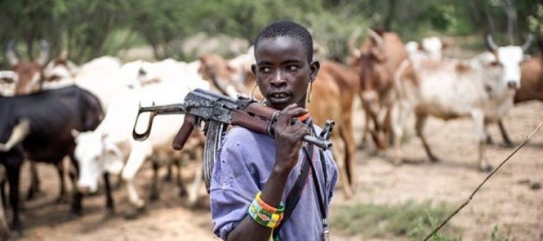Fulani Herdsmen Launch Attack on Man, Cause Property Damage in Bauchi