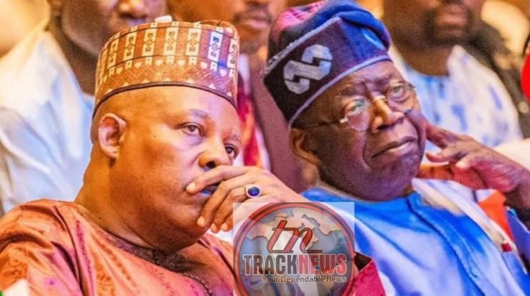 2027: ‘Political Calculations Not Sentiments’ – APC Chieftain Speaks On Tinubu Dropping Shettima