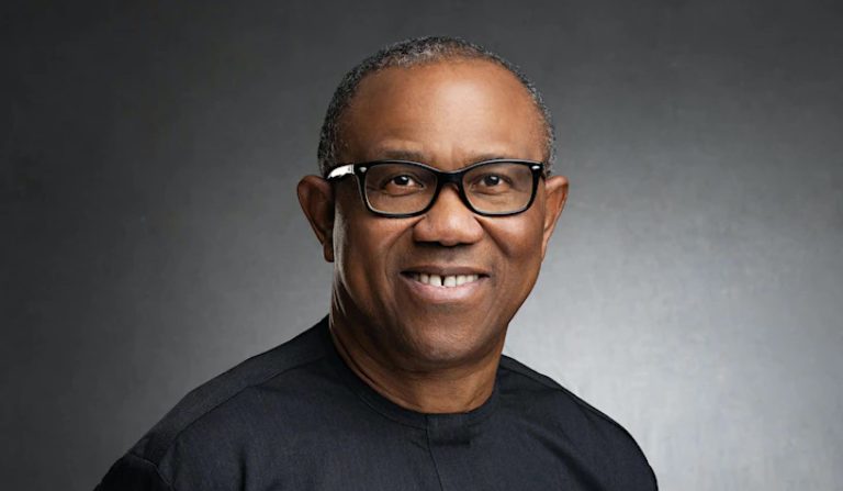 Peter Obi storms FCT as ADC kicks off campaign ahead council elections