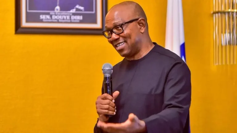 Nigeria Needs a New Approach to Taxation and Leadership — Peter Obi