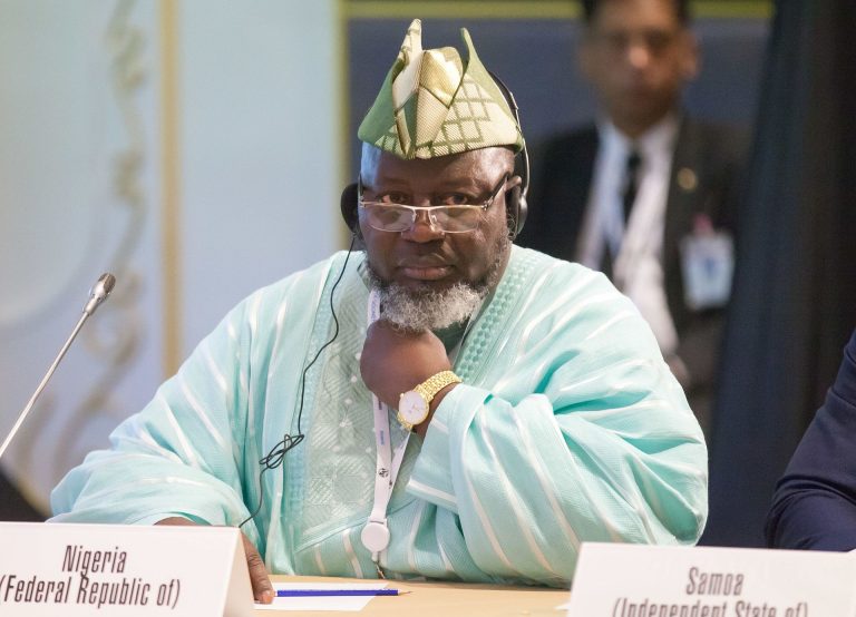 Shittu: Granting amnesty to bandits will breed more criminals