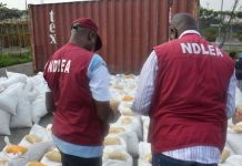 NAFDAC Closes 18 Warehouses in Niger Following Discovery of N100m Expired Goods