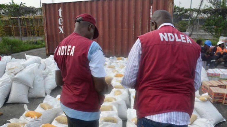 NAFDAC Closes 18 Warehouses in Niger Following Discovery of N100m Expired Goods