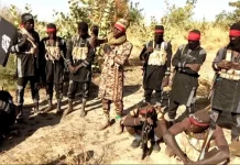 Boko Haram Strikes Maiduguri Road, Burns Multiple Food Trucks