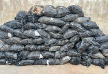 NDLEA Busts Cannabis Shipment Concealed in Cement Truck Between Zaria and Kano