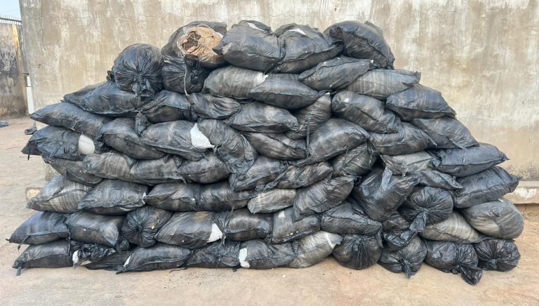 NDLEA Busts Cannabis Shipment Concealed in Cement Truck Between Zaria and Kano