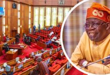 Senate says Tinubu’s security budget not enough, demands better funding