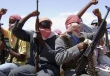 Bandits Attack Security Operatives in Kebbi, Police Repel Assault