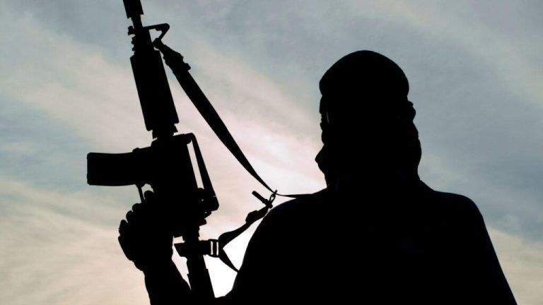 Insecurity: Faulty Intelligence Undermines Air Operations in Sambisa, Says Bakoji