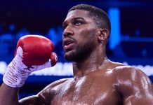 Anthony Joshua Faces Uncertain Future Following Tragic Nigerian Accident