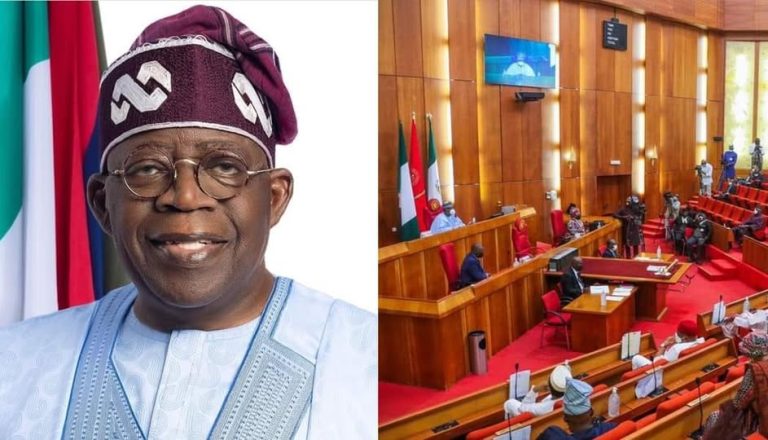 Tinubu Seeks Senate Approval For $6 Billion Loans