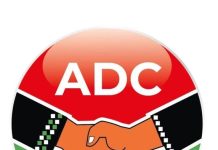 ADC Raises Concerns Over Tinubu’s Ambassadorial Appointments, Breach of Protocol Highlighted