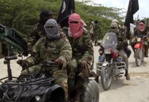 Boko Haram kills army major in fresh attack on military base in Borno