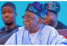 A Lot Of Ministers, Governors In APC Do Not Like Tinubu – Party Chieftain