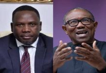 ‘Count Me Out Of Your Greed’ – Peter Obi Fires Daniel Bwala
