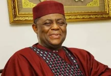 Fani-Kayode Appreciates Tinubu After Being Named Ambassador to Germany