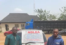 NDLEA Apprehends Drug Lord Who Evaded Arrest for 13 Years