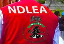NDLEA Reports N1.8bn Drug Seizures, 104 Arrests in Edo Over 3 Months