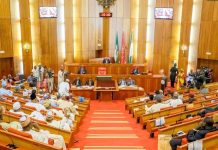 Benue Security Alert: Senate Demands FG Establish Military Presence in Kwande