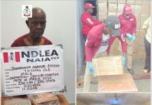 74-Year-Old Suspect Arrested With Cocaine at Abuja International Airport