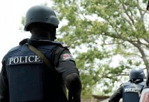 Police Crack Down on Robbers, Recover Tricycles in Port Harcourt