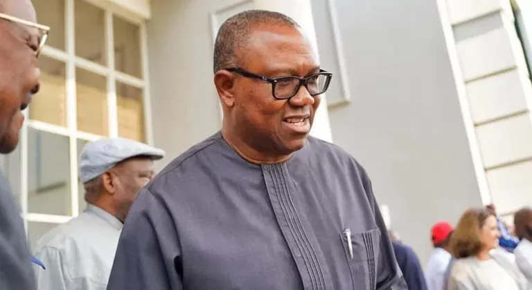 ‘Peter Obi Is Moving Against The Direction Of Winning Election’ – APC Rep