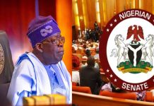 Senate Greenlights Tinubu’s $6bn Loan Proposal