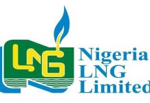 N250 Billion Tax Boost: NLNG Contributions Strengthen Rivers Revenue