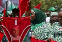 Political Twist as Kano Underwear Campaign Figure Gets Appointment
