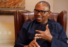 ‘Peter Obi Has More Than 60 Percent Chance Of Emerging As President’ – PDP Chieftain, Dan Ulasi