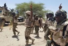 Troops arrest two suspected terrorists in Niger