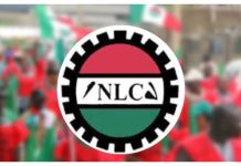 NLC Directs Street Protests for May Day in States Yet to Implement Minimum Wage