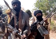 Katsina Villages Under Pressure as Armed Bandits Enforce N5m Levy