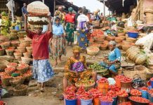 GDP Growth Faster Than Population, Shows Progress Against Poverty – Report