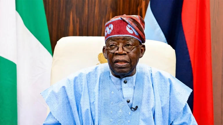 Plateau Killings: Tinubu Reaffirms Support For State Police, Urges Implementation Of White Papers