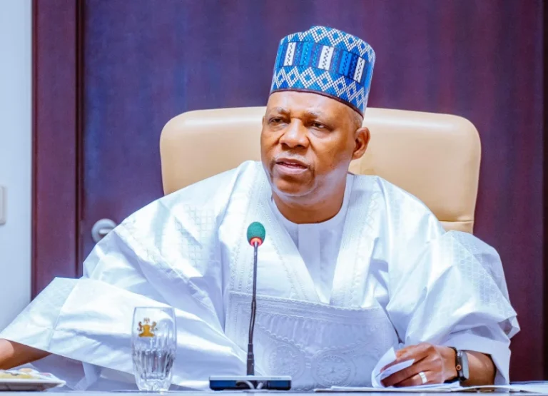 2027: ‘Don’t pull down roof, desist from destructive politics’ – VP Shettima to Nigerians