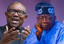 2027: Peter Obi only opposition figure with solid vote bank against Tinubu – Wali