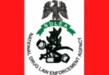 NDLEA intercepts cocaine, loud in food flasks, snacks, arrests fashion designer, others