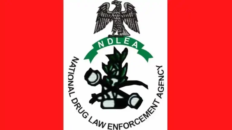 NDLEA intercepts cocaine, loud in food flasks, snacks, arrests fashion designer, others