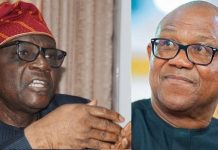 Peter Obi’s One-Term Promise Cannot Be Trusted – Bayo Onanuga
