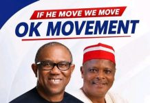 10m Nigerians register with NDC 24 hours after Peter Obi defection – Adebayo