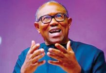 2027: Peter Obi coming at wrong time, can’t win – Ebonyi Senator